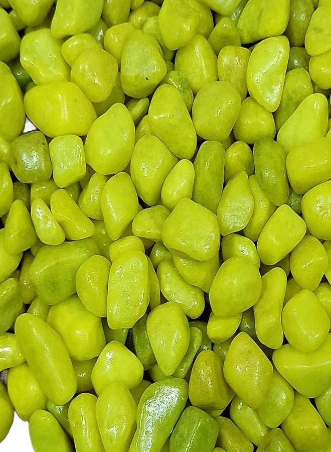 AVLUZ أحجار زينة لامعة لأحواض السمك من أفلوز، لون أخضر ببغائي، 500 غرام | (1.5-2) سم - Image 4